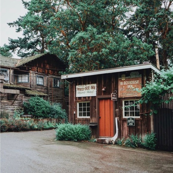 ๐คHello, Iโm Addy!๐ค - Picture 5 of 6